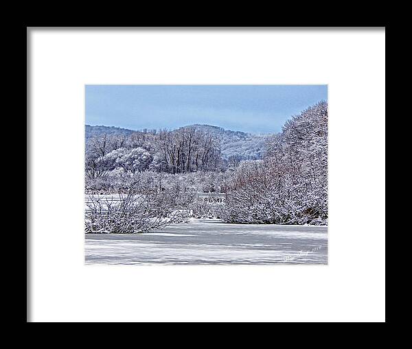 Winter Framed Print featuring the photograph Deep in the Swamp by Wild Thing