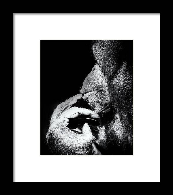 Crystal Yingling Framed Print featuring the photograph Deep in Thought by Ghostwinds Photography
