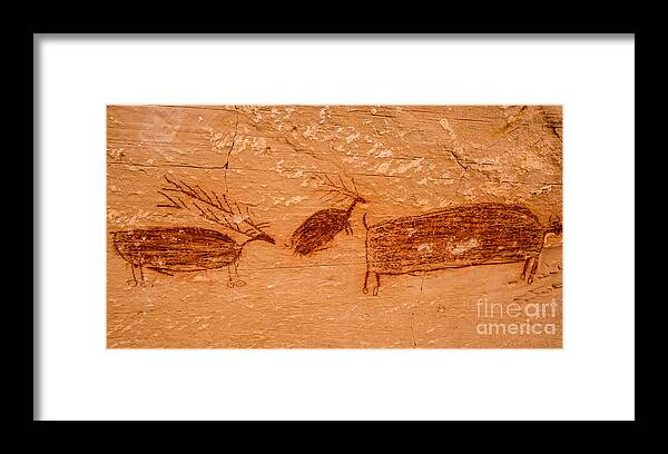 Utah Framed Print featuring the photograph Deer and Bison Pictograph - Horseshoe Canyon - Utah by Gary Whitton