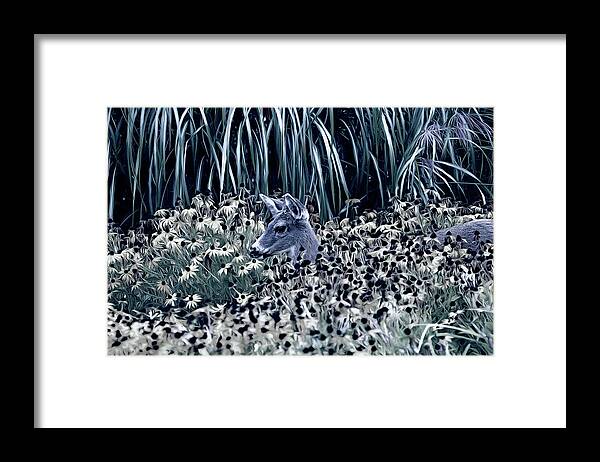 Deer Framed Print featuring the photograph Deer and Lazy Susan Flowers Monotone by Peggy Collins