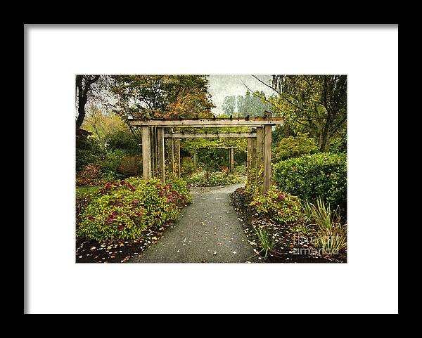 Fall Framed Print featuring the photograph Fall in the Garden at Deer Lake by Maria Janicki
