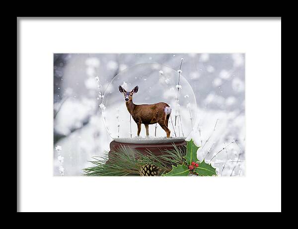 Deer Framed Print featuring the photograph Deer Snow Globe by Steph Gabler