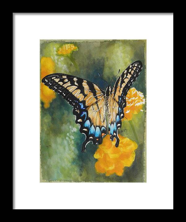 Butterfly Framed Print featuring the mixed media Delicate Belle by Barbara Keith
