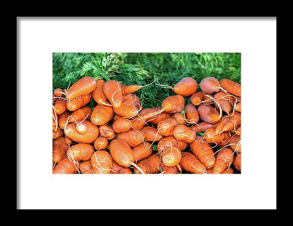 Farmers Market Framed Print featuring the photograph Delicious Carrots by Todd Klassy