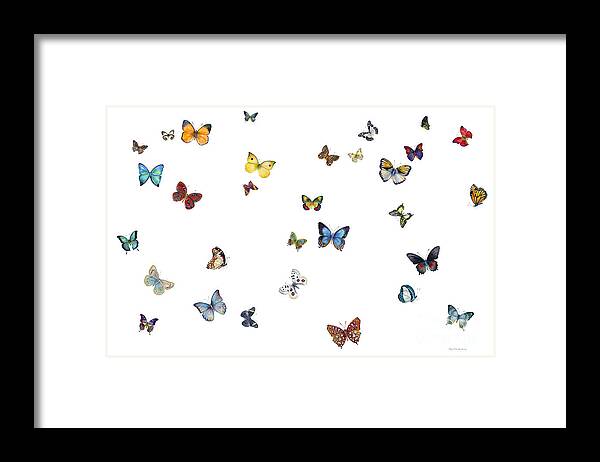 Butterflies Framed Print featuring the painting Delphine by Amy Kirkpatrick