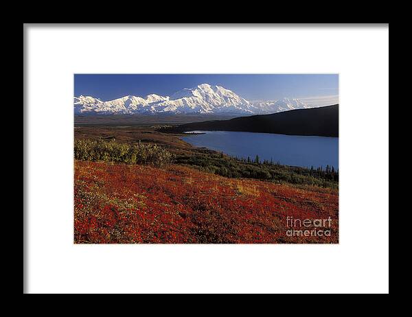 Denali National Park Framed Print featuring the photograph Denali Evening by Sandra Bronstein