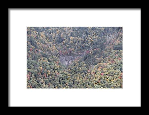  Blue Ridge Parkway Scene Framed Print featuring the photograph Dense Woods by Allen Nice-Webb