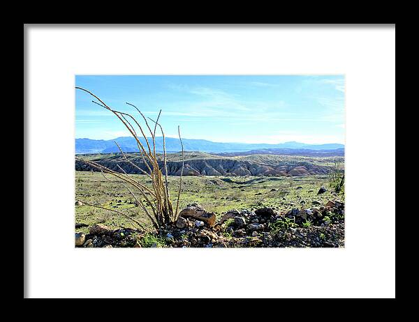 Anza Borrego Desert State Park Framed Print featuring the photograph Desert After The Rains by Michelle Joseph-Long