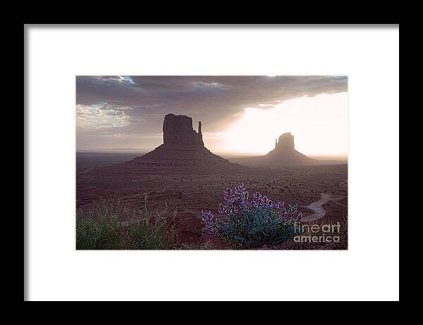Red Rocks Framed Print featuring the photograph Desert Blooms by Jim Garrison