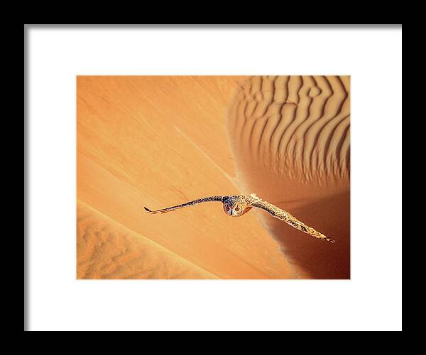 Dubai Framed Print featuring the photograph Desert Eagle Owl by Alexey Stiop