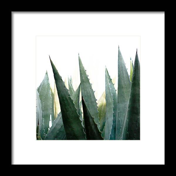 Twotonefriday_nio Framed Print featuring the photograph Desert Flora With Sharp Succulent by Blenda Studio