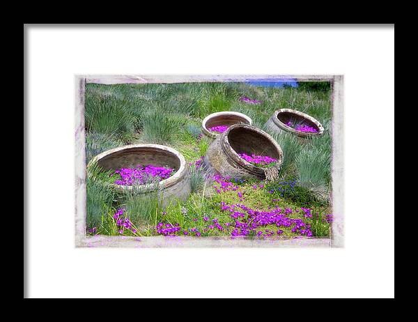 Botanic Gardens Framed Print featuring the photograph Desert Flowers by Joan Carroll