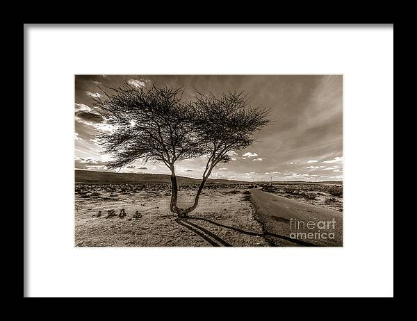 Landmark Framed Print featuring the photograph Desert landmarks by Arik Baltinester
