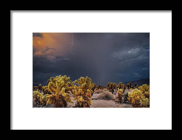 Joshua Tree Framed Print featuring the photograph Desert Monsoon by TM Schultze