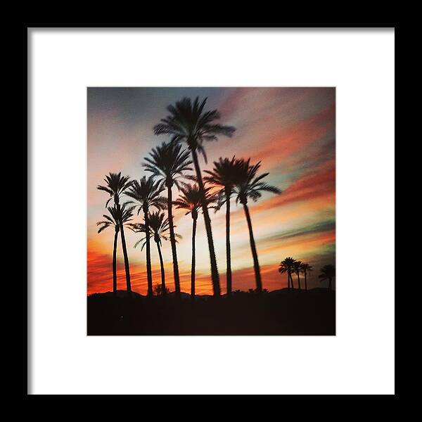 Palm Trees Framed Print featuring the photograph Desert Palms Sunset by Vic Ritchey