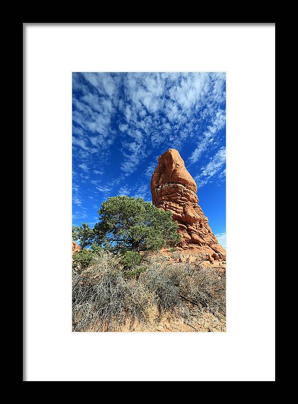 Landscape Framed Print featuring the photograph Desert Pillar and Tree by Mary Haber