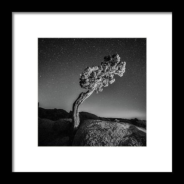 Desert Framed Print featuring the photograph Causality V by Ryan Weddle