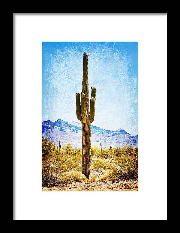 Saguaro Cactus Framed Print featuring the digital art Desert Sentinel by Tatiana Travelways