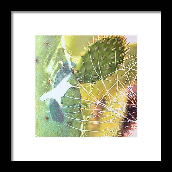 Bird Framed Print featuring the photograph Desert Spring by Kathy Bassett