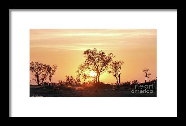 Desert Framed Print featuring the photograph Desert sunset by Arik Baltinester