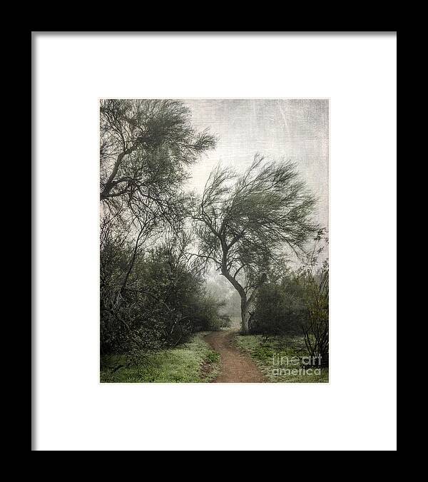 Desert Trees Framed Print featuring the photograph Desert Trees in Fog by Tamara Becker