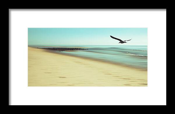 Seagull Framed Print featuring the photograph Desire by Hannes Cmarits