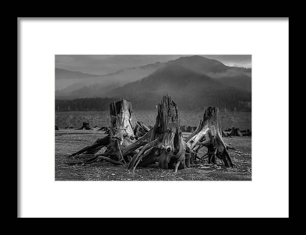 Conservation Framed Print featuring the photograph Detroit Lake, Oregon by Scott Slone