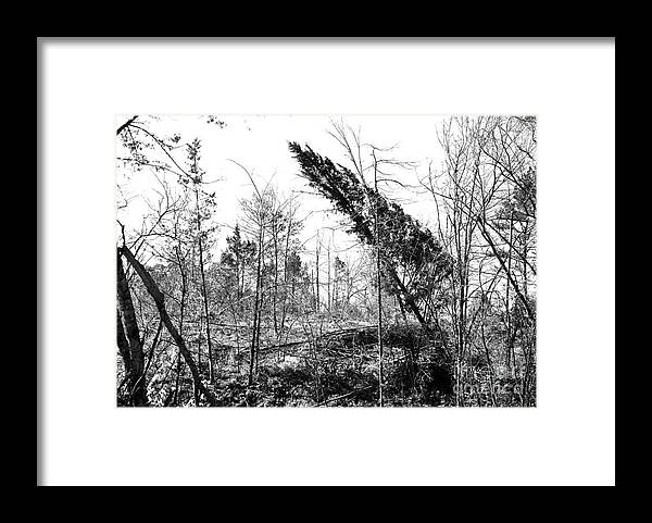 Oklahoma Framed Print featuring the photograph Devastation by Fred Lassmann