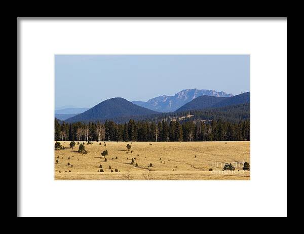 Devil's Head Framed Print featuring the photograph Devil's Head Fire Tower in the Pike National Forest by Steven Krull