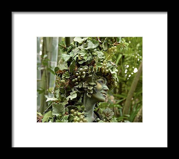 Vine Framed Print featuring the photograph Devine Face by Carol Bradley