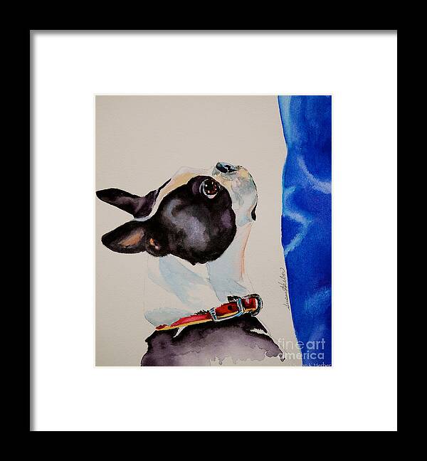 Pet Framed Print featuring the painting Devoted by Susan Herber