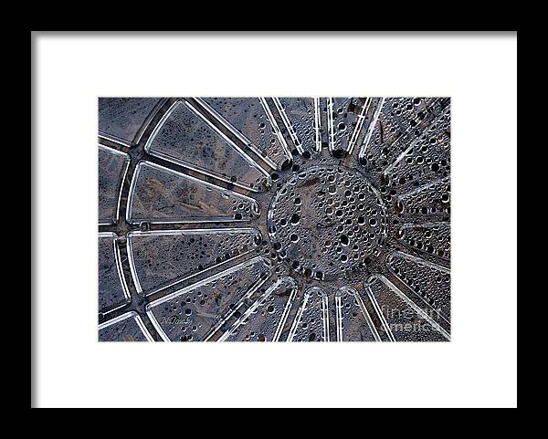 Dew On Dish Framed Print featuring the photograph Dew on Dish by Natalie Dowty