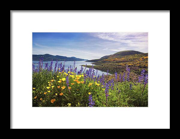 Lakes Framed Print featuring the photograph Diamond Valley by Tassanee Angiolillo