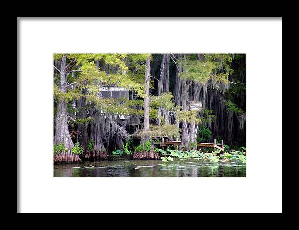 Bald Cypress Framed Print featuring the photograph Dick and Charlies Tea Room by Lana Trussell