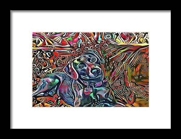 Lacy Dog Framed Print featuring the mixed media Did Somebody Say Treat? Blue Lacy Dog by Peggy Collins