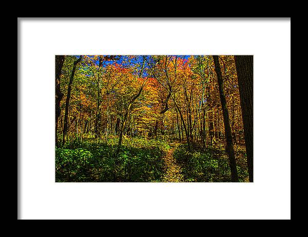 Illinois Framed Print featuring the photograph Did You Bring the Breadcrumbs? by Roger Passman