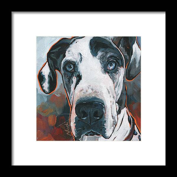 Great Dane Framed Print featuring the painting Diezel by Nadi Spencer