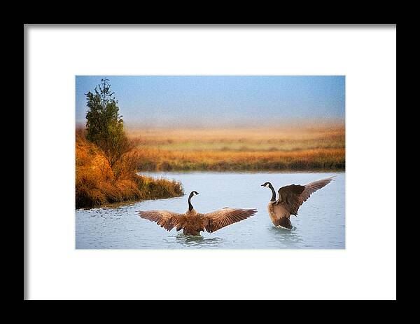 Geese Framed Print featuring the photograph Difference of Opinion by Bob Coates