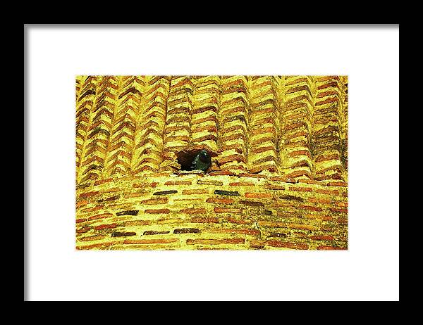 Bird Framed Print featuring the photograph Different Strokes by HweeYen Ong