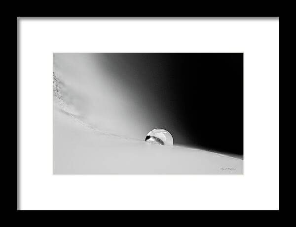 Black And White Art Framed Print featuring the photograph Dimension Rain Drop by Crystal Wightman