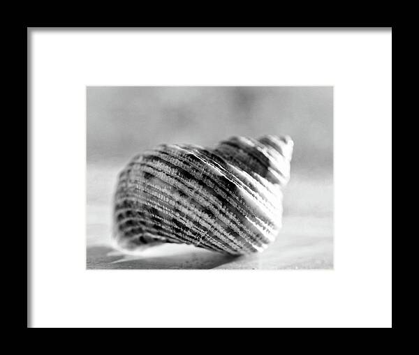 Diminutive Framed Print featuring the photograph Diminutive by Tom Druin