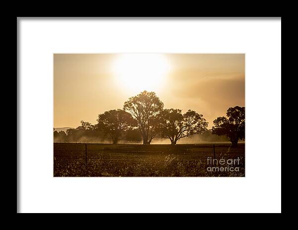 Sunset Framed Print featuring the photograph Dirtbike Dust by Linda Lees