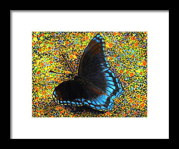 Blue Morph Butterfly Framed Print featuring the drawing Discovery by Angela Davies