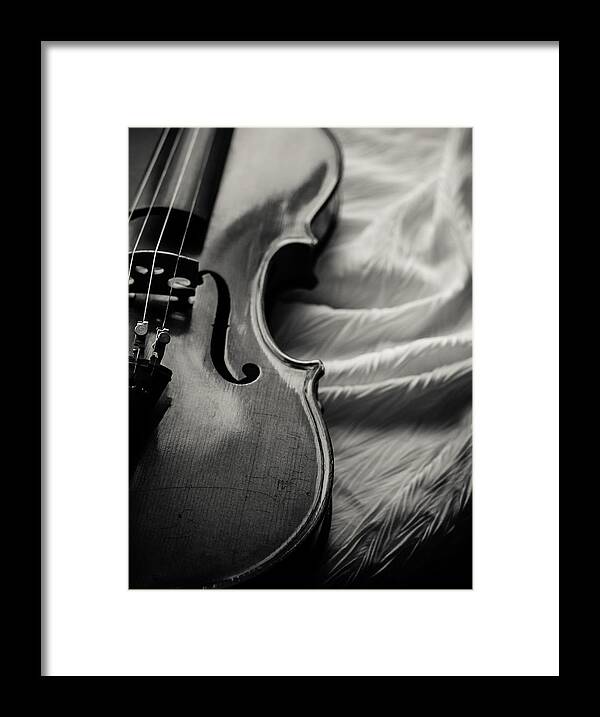 Violin Framed Print featuring the photograph Disrobed by Maggie Terlecki