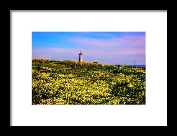 Pigeon Point Lighthouse Framed Print featuring the photograph Distant Lighthouse by Garry Gay