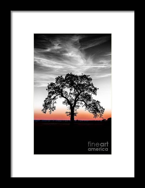 Landscape Framed Print featuring the photograph Distinctly by Betty LaRue