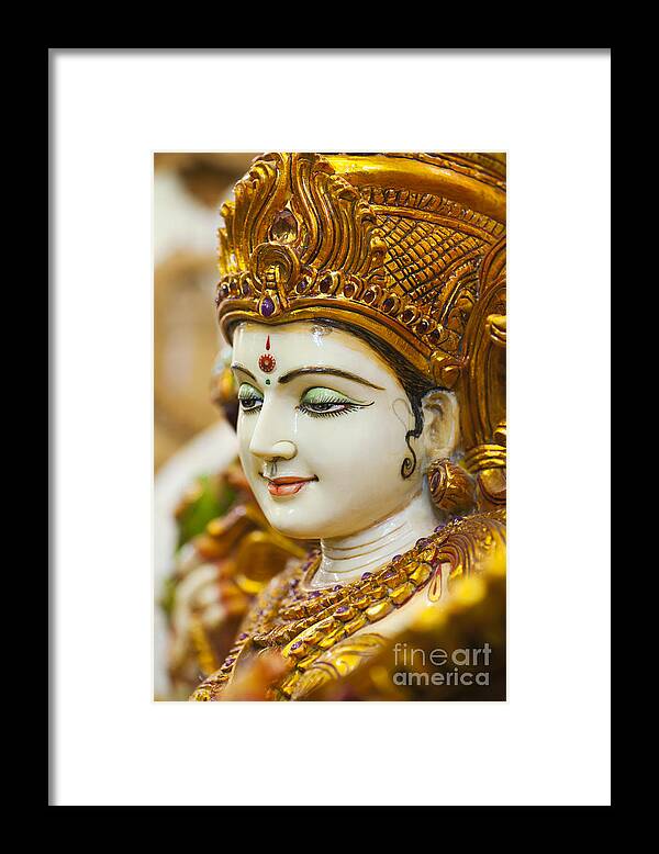 Saraswati Framed Print featuring the photograph Divine Saraswati by Tim Gainey