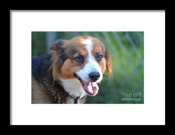 Dixie Framed Print featuring the photograph Dixie by Maria Urso