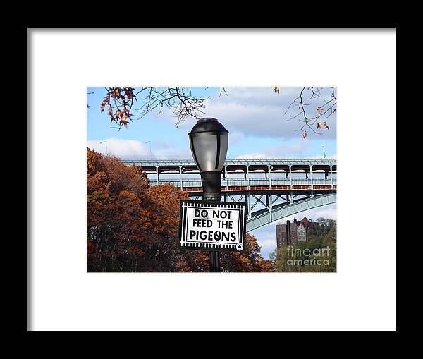 Sign Framed Print featuring the photograph Do Not Feed the Pigeons by Cole Thompson