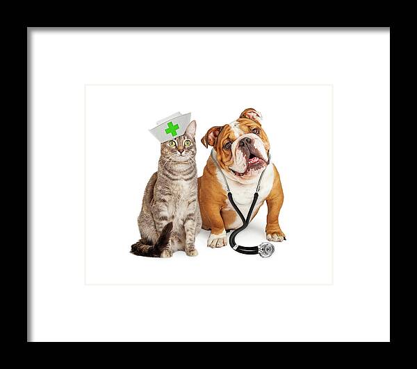 Animal Framed Print featuring the photograph Dog and Cat Veterinarian and Nurse by Good Focused